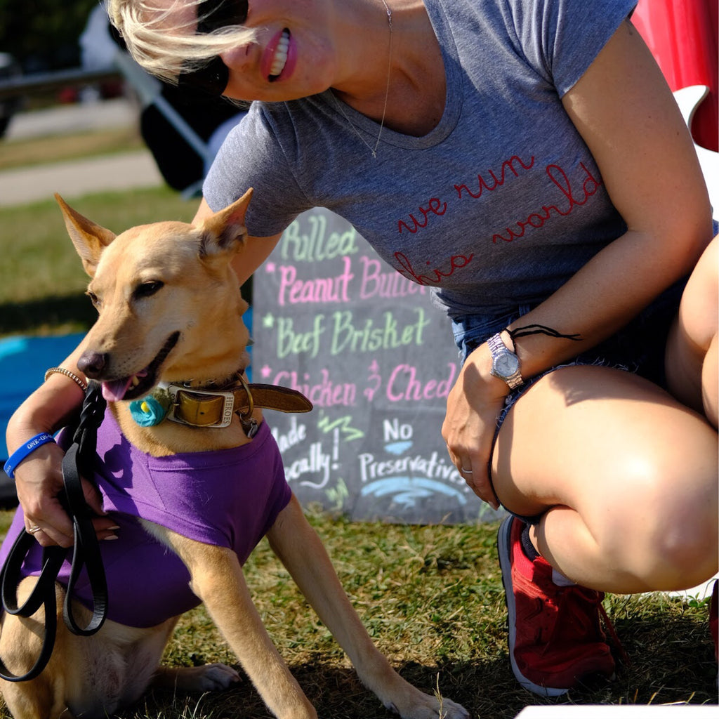 Vestibular Syndrome aka Vestibular Disease in Your Dog