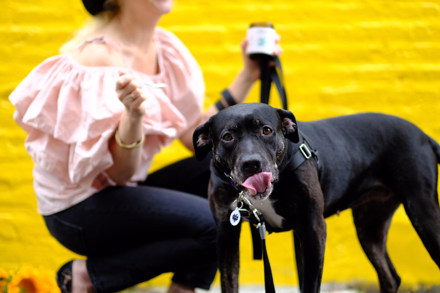 What is Organic SunButter aka Sunflower Butter, and Why is it Better than Peanut Butter for Your Dog? | Blooming Culture