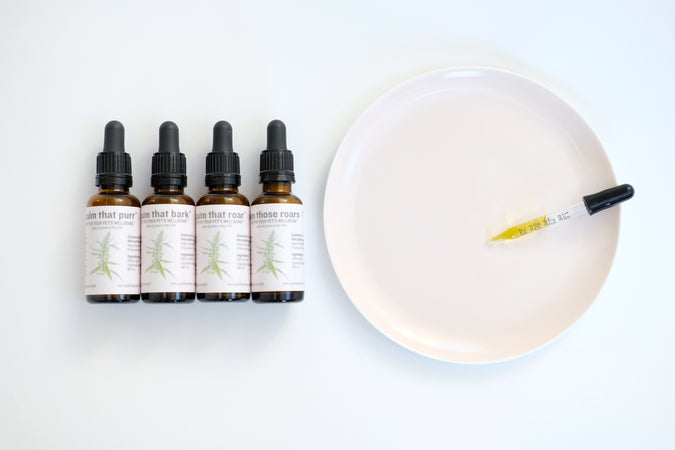 Bioavailability: Why the Best Pet CBD Oil Contains MCT OIl | Blooming Culture