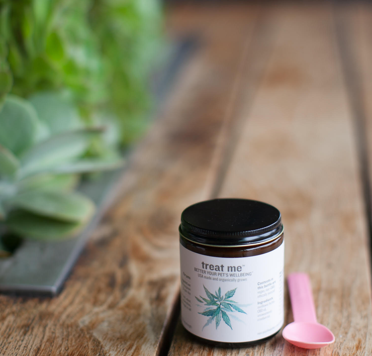 CBD infused organic sunflower seed butter treats for dogs | Blooming Culture