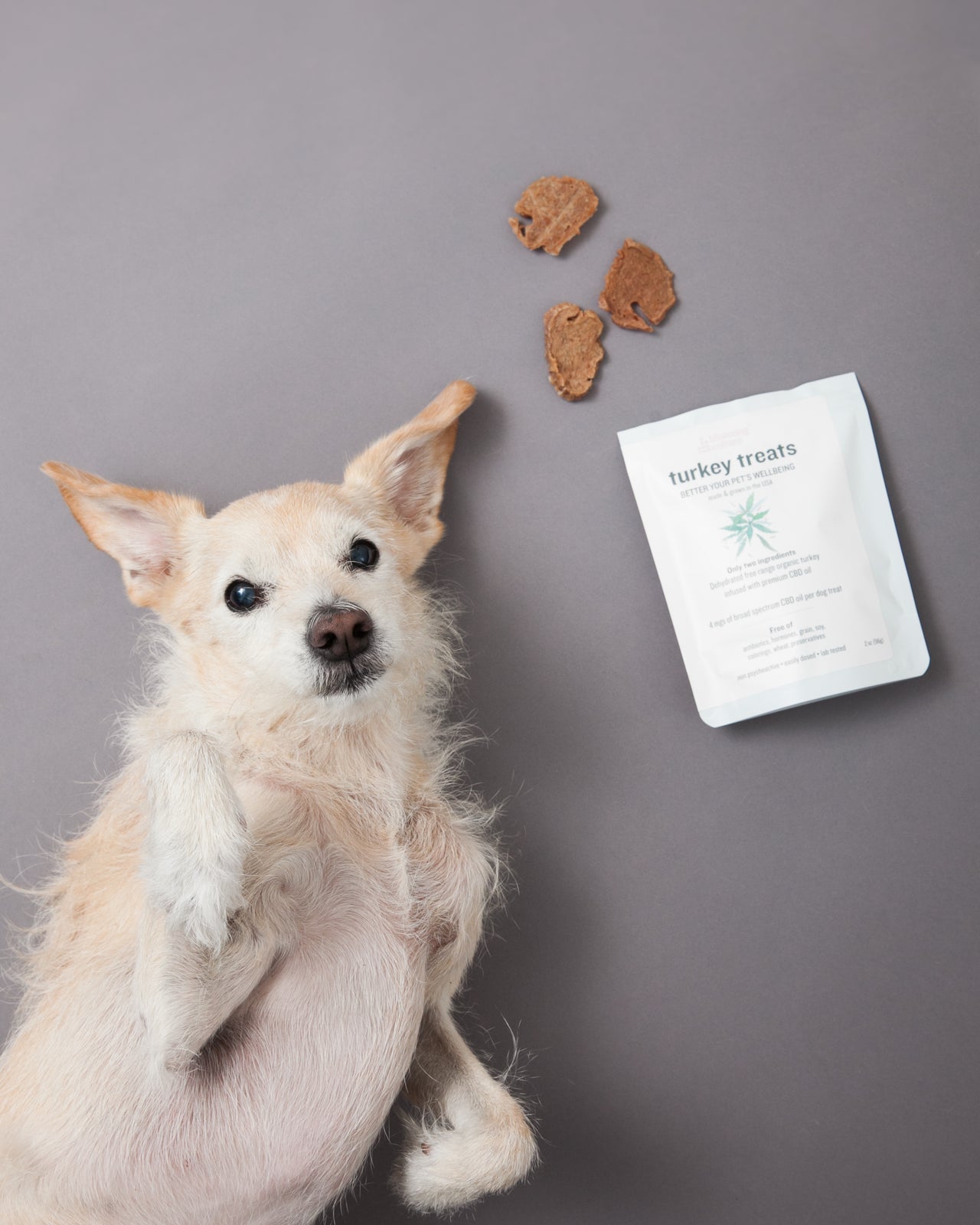 Dehydrated turkey treats for dogs infused with CBD oil | Blooming Culture