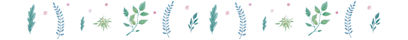 Illustration of hemp plants | Blooming Culture